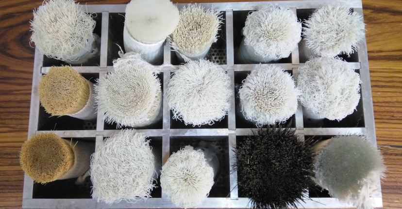 天然素材の繊維などを束ねたブラシ状にした専用の道具「ささら」。生地の種類や状態に合わせ、数種類を使いわけます。